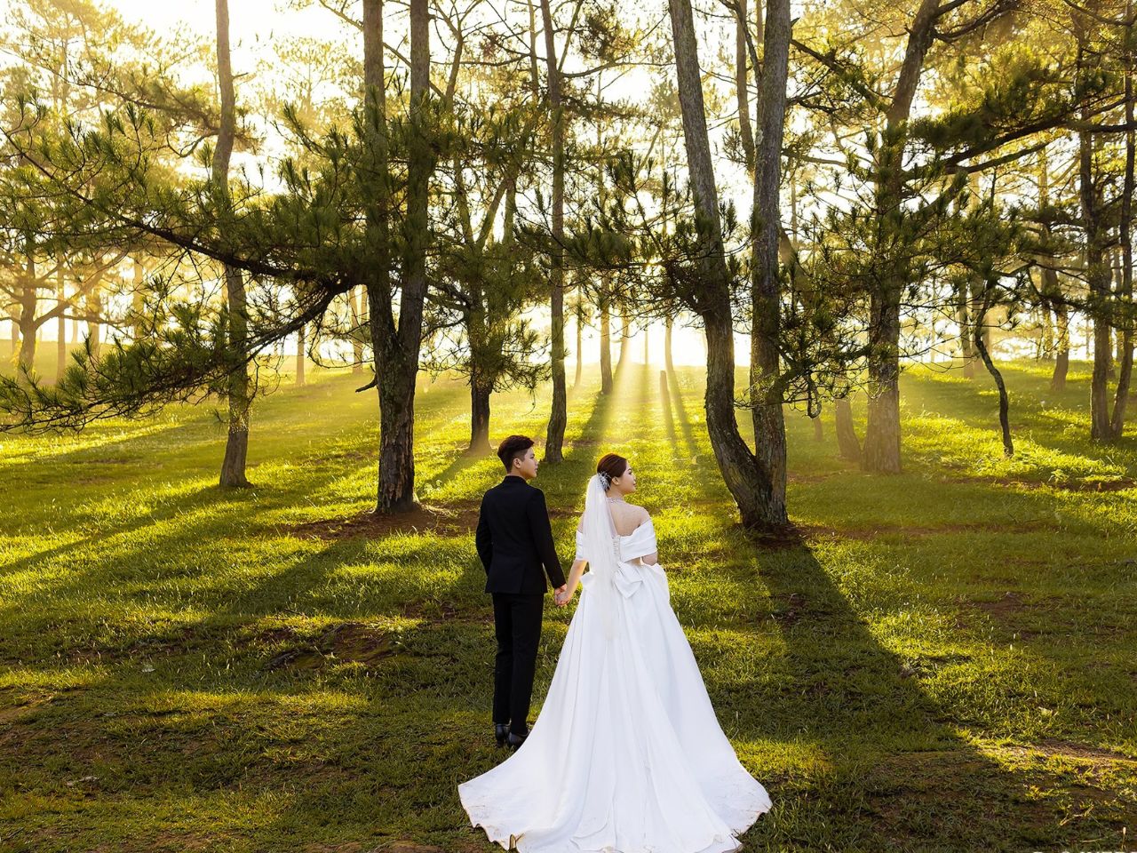 Top Mẫu Váy Cưới Hàn Quốc Được Yêu Thích Nhất Năm 2026