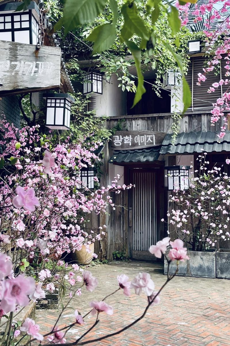 phim truong alibaba3