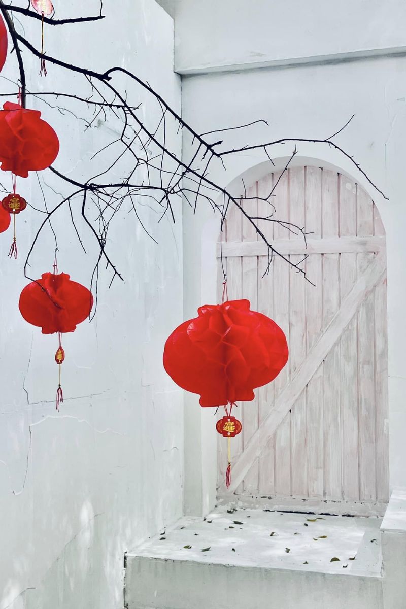 phim truong alibaba4