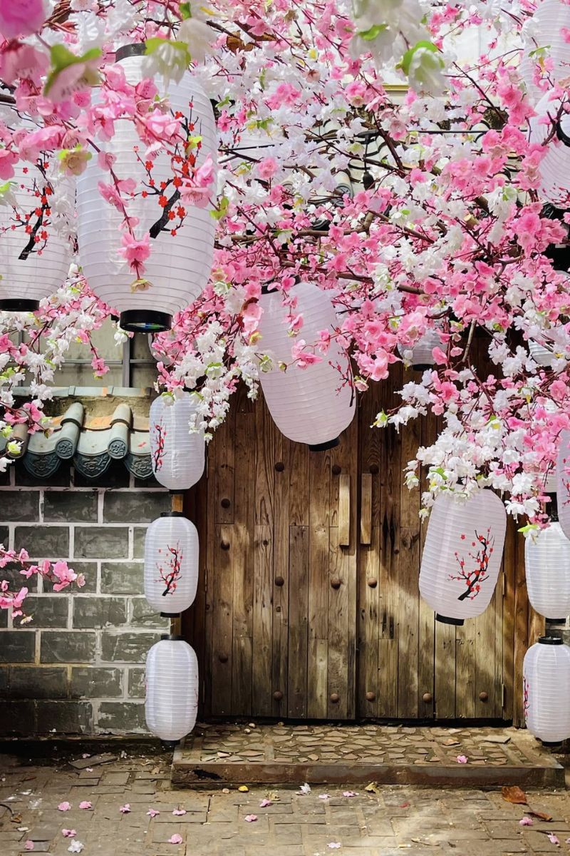 phim truong alibaba5