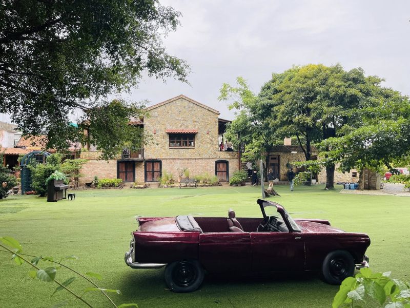 phim truong alibaba7