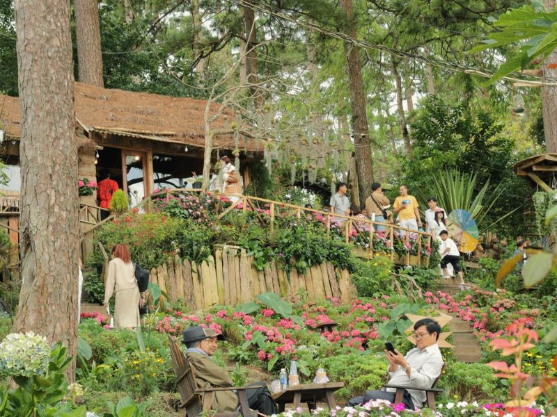 phim truong happy hill da lat0