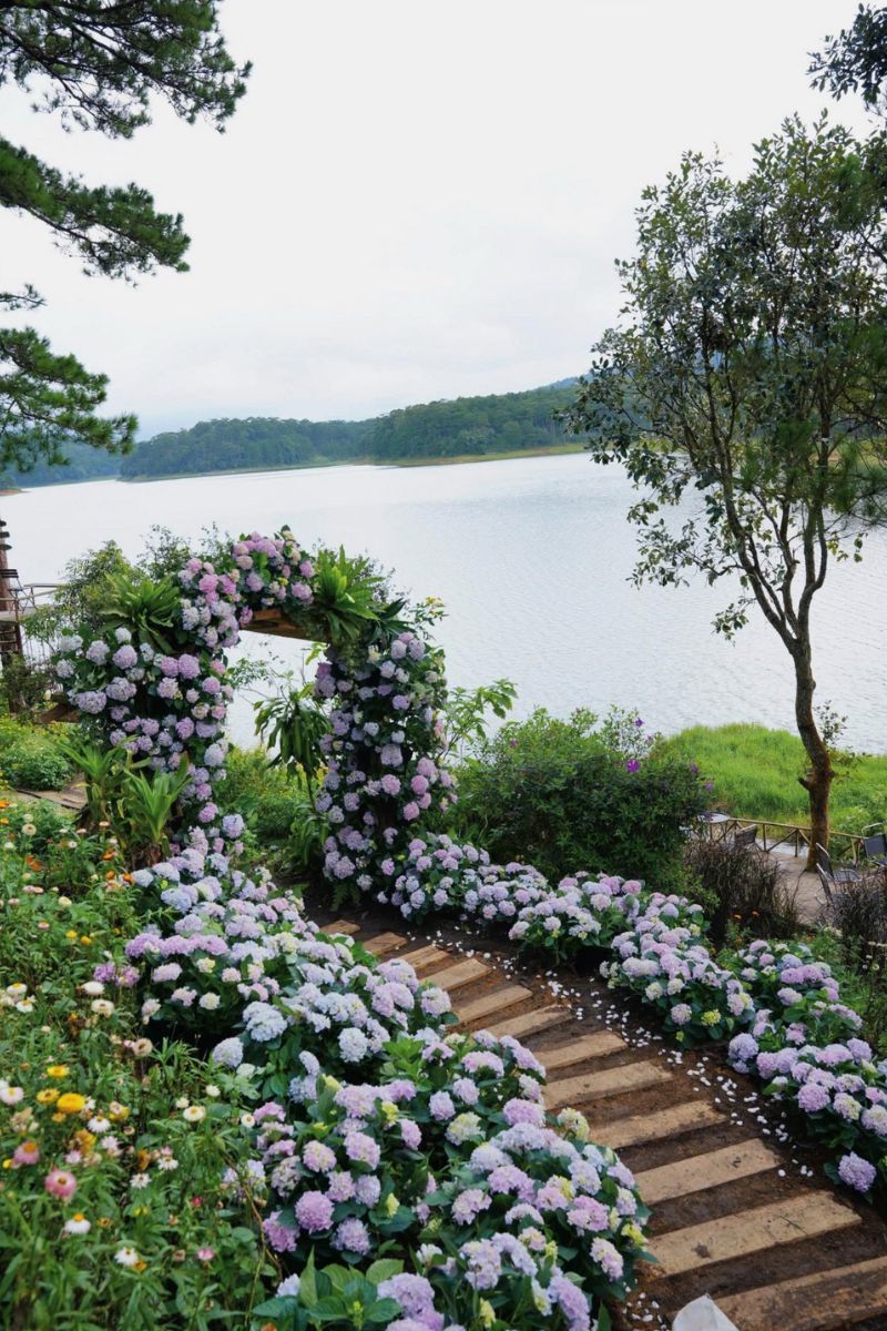 phim truong happy hill da lat11