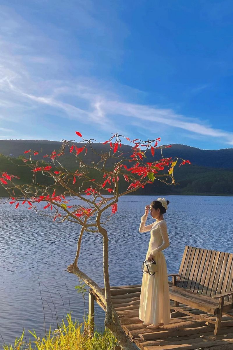 phim truong happy hill da lat14