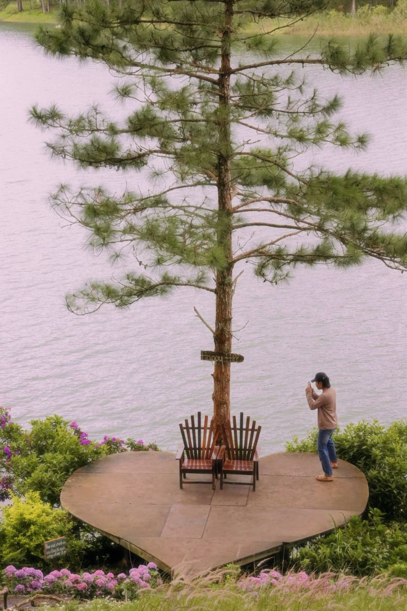 phim truong happy hill da lat6