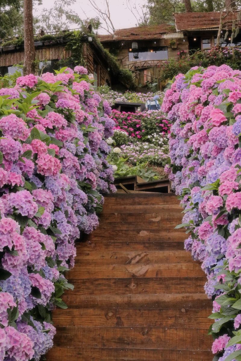 phim truong happy hill da lat8