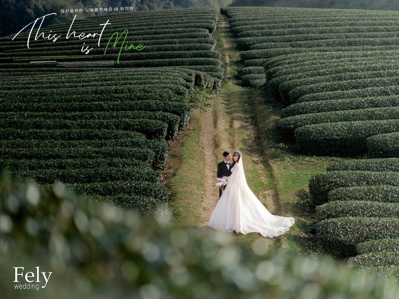 Chụp Ảnh Cưới Mộc Châu Mùa Nào Đẹp? Kinh Nghiệm Thực Tế Từ Studio