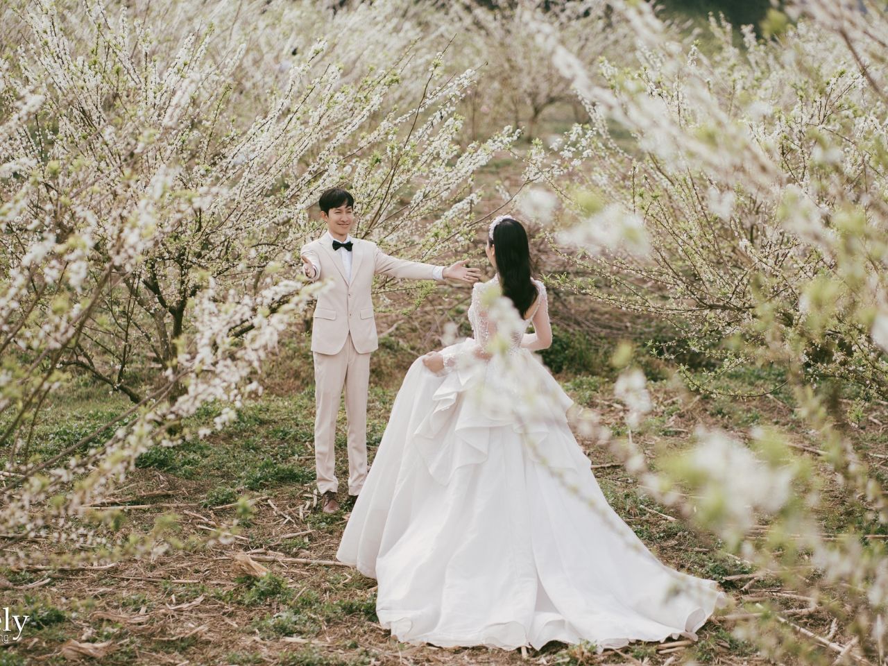 Những Điều Kiêng Kỵ Khi Chụp Ảnh Cưới Cô Dâu Chú Rể Nên Biết