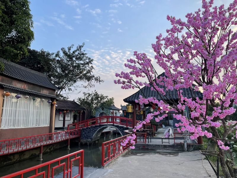 phim truong rose garden 8