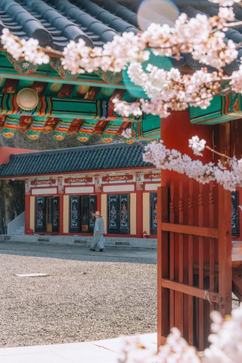 chup anh cuoi hanbok 1