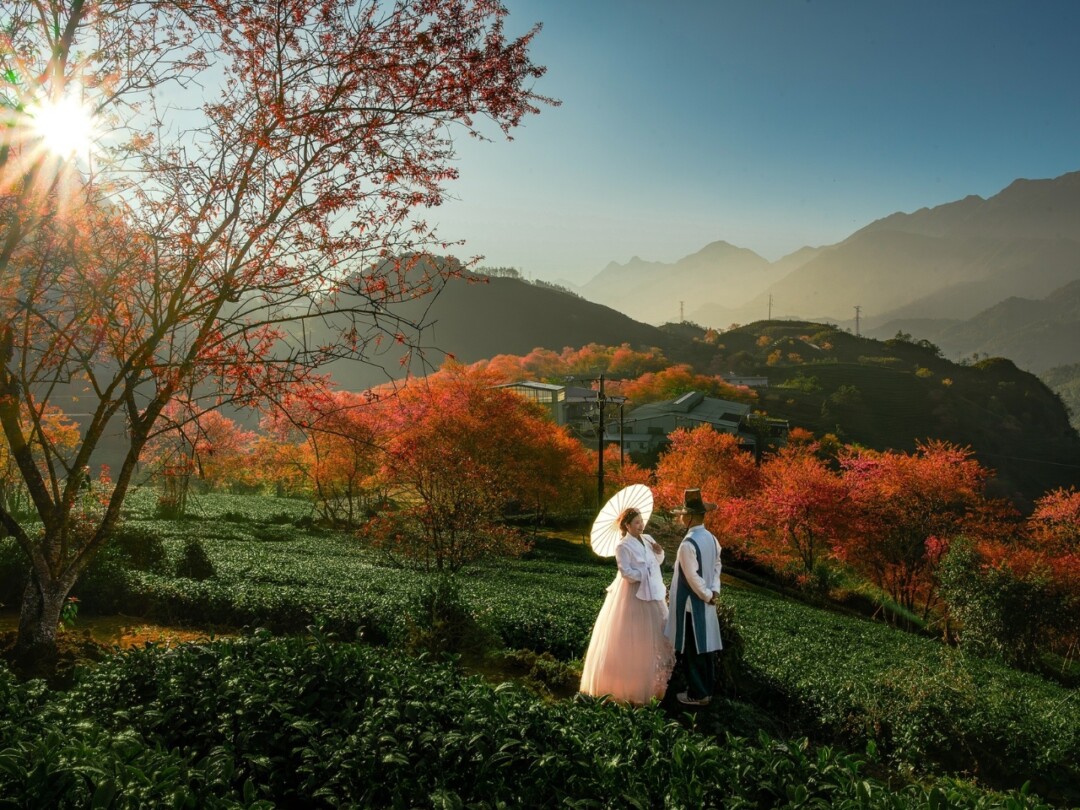 Xu Hướng Chụp Ảnh Cưới Hanbok Được Các Cặp Đôi Yêu Thích