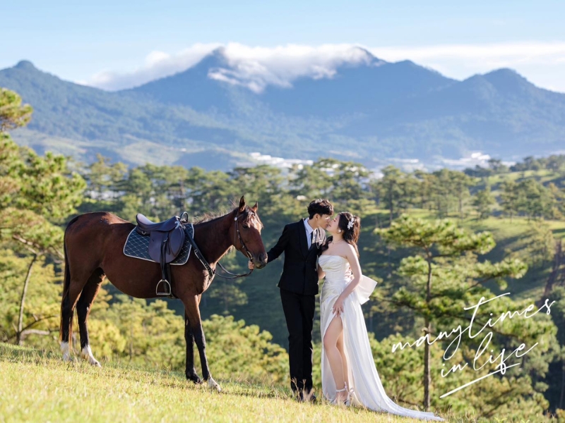 concept anh cuoi voi ngua 10