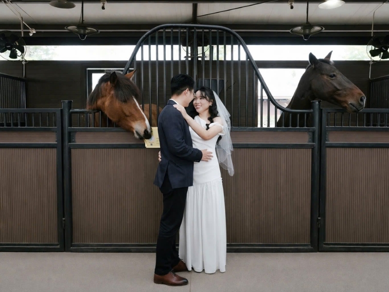 concept anh cuoi voi ngua 8