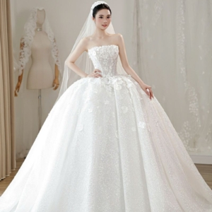 Váy Cưới Công Chúa Lấp Lánh Sương Mai