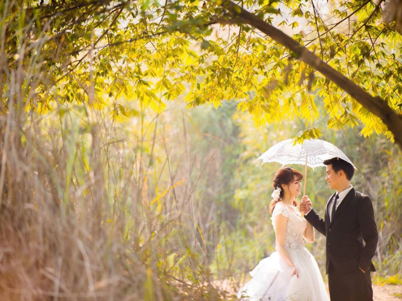 Chụp Ảnh Cưới Mùa Nào Đẹp Nhất Trong Năm? Hướng Dẫn Chọn Theo Mùa